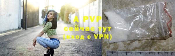 ГАЛЛЮЦИНОГЕННЫЕ ГРИБЫ Белокуриха