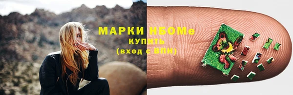 ГАЛЛЮЦИНОГЕННЫЕ ГРИБЫ Белокуриха