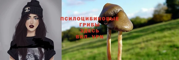 ГАЛЛЮЦИНОГЕННЫЕ ГРИБЫ Беломорск