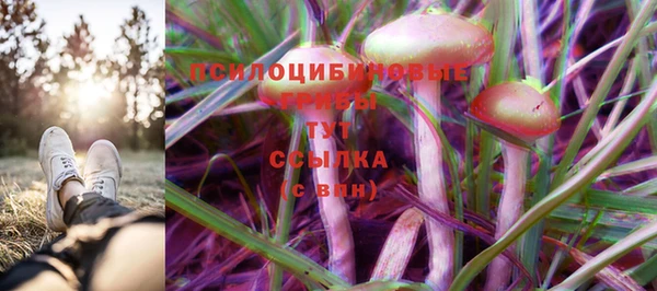ГАЛЛЮЦИНОГЕННЫЕ ГРИБЫ Беломорск