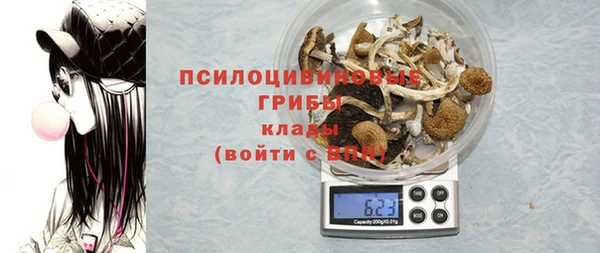 ГАЛЛЮЦИНОГЕННЫЕ ГРИБЫ Белокуриха