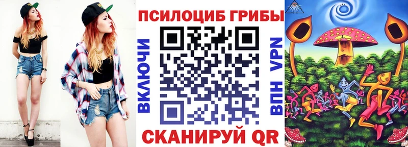 Галлюциногенные грибы Magic Shrooms  Курчалой 